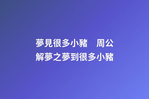 夢見很多小豬　周公解夢之夢到很多小豬